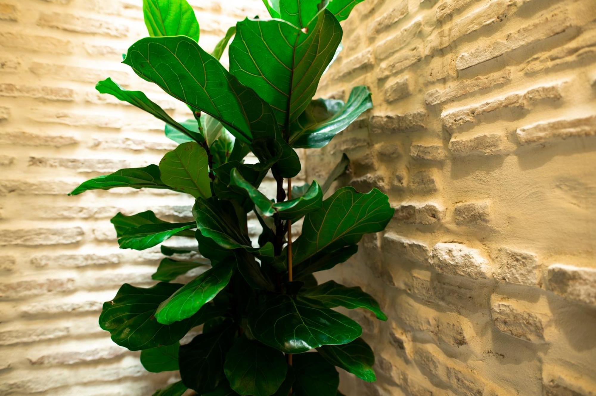 Legado Magdalena Hotel Seville Exterior photo